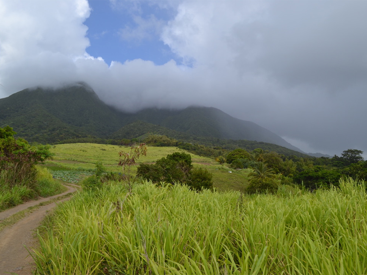 This Volcano Hike in St Kitts Has Rainforest Trails, a Crater, and Endless Views